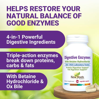 Digestive Enzymes with Ox Bile and Betaine HCl (100 Caps) Ox Bile Supplements for No Gallbladder with Papain & Pepsin A | Pancrease Cleanse & Detox - dailyvitalstore