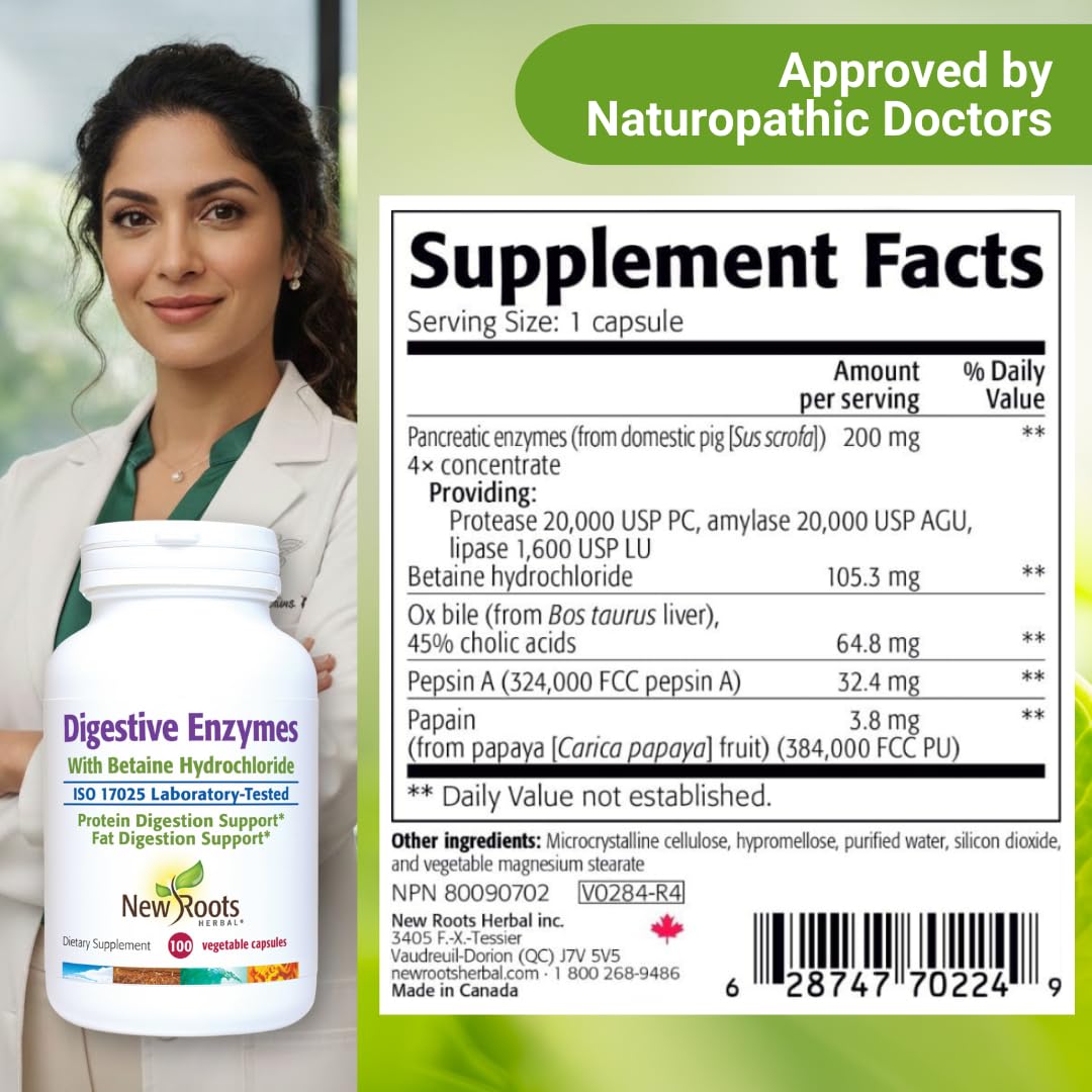 Digestive Enzymes with Ox Bile and Betaine HCl (100 Caps) Ox Bile Supplements for No Gallbladder with Papain & Pepsin A | Pancrease Cleanse & Detox - dailyvitalstore