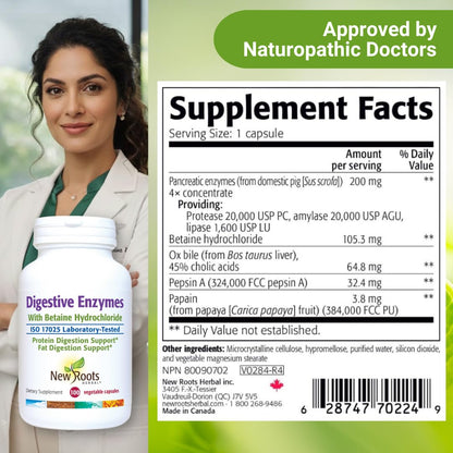 Digestive Enzymes with Ox Bile and Betaine HCl (100 Caps) Ox Bile Supplements for No Gallbladder with Papain & Pepsin A | Pancrease Cleanse & Detox - dailyvitalstore