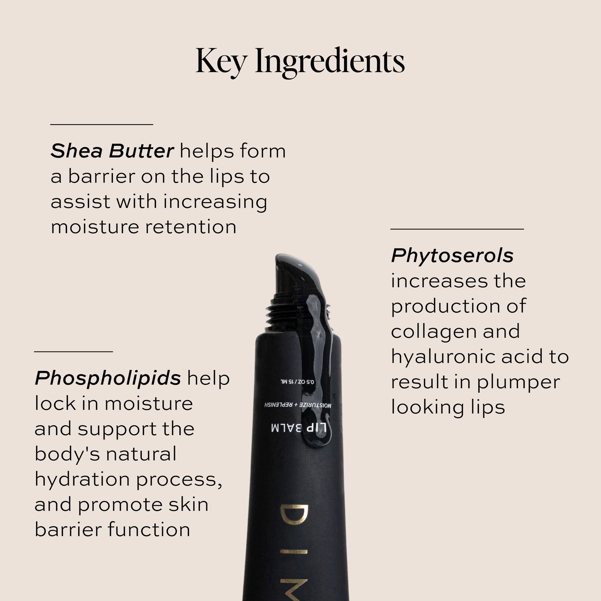 DIME Beauty Lip Balm, Hydrating Lip Balm and Gloss, Vegan & Cruelty-Free, Anti-Aging Lip Care, .5 oz / 15 ml - dailyvitalstore
