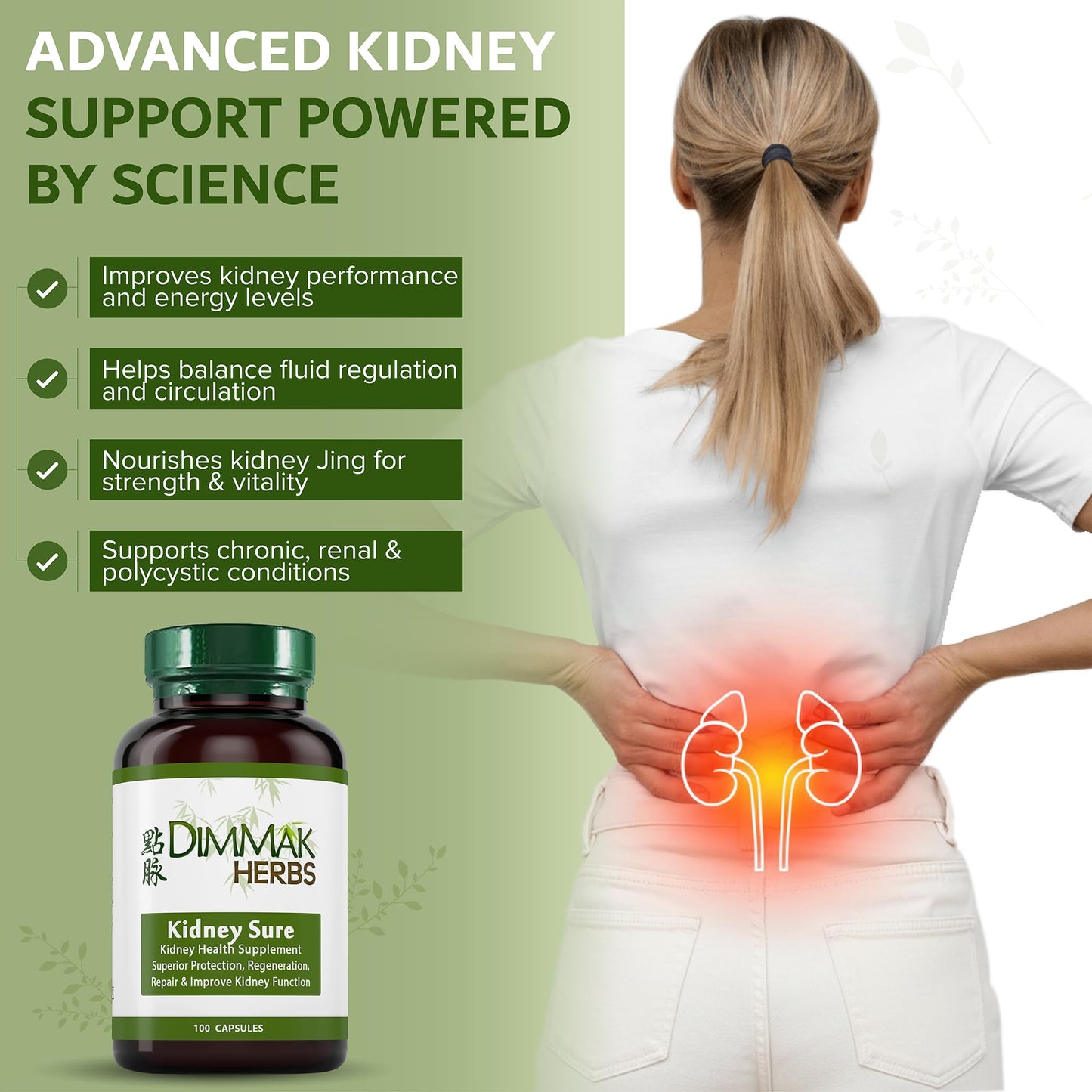 Dimmak Herbs Kidney Sure- Kidney Cleanse & Revitilization Tonic- Organic Herbal Support for Renal Health, Urinary Tract Flow & Vitality- TCM Doctor Formulated, Vegan- 400mg 100 Capsules - dailyvitalstore