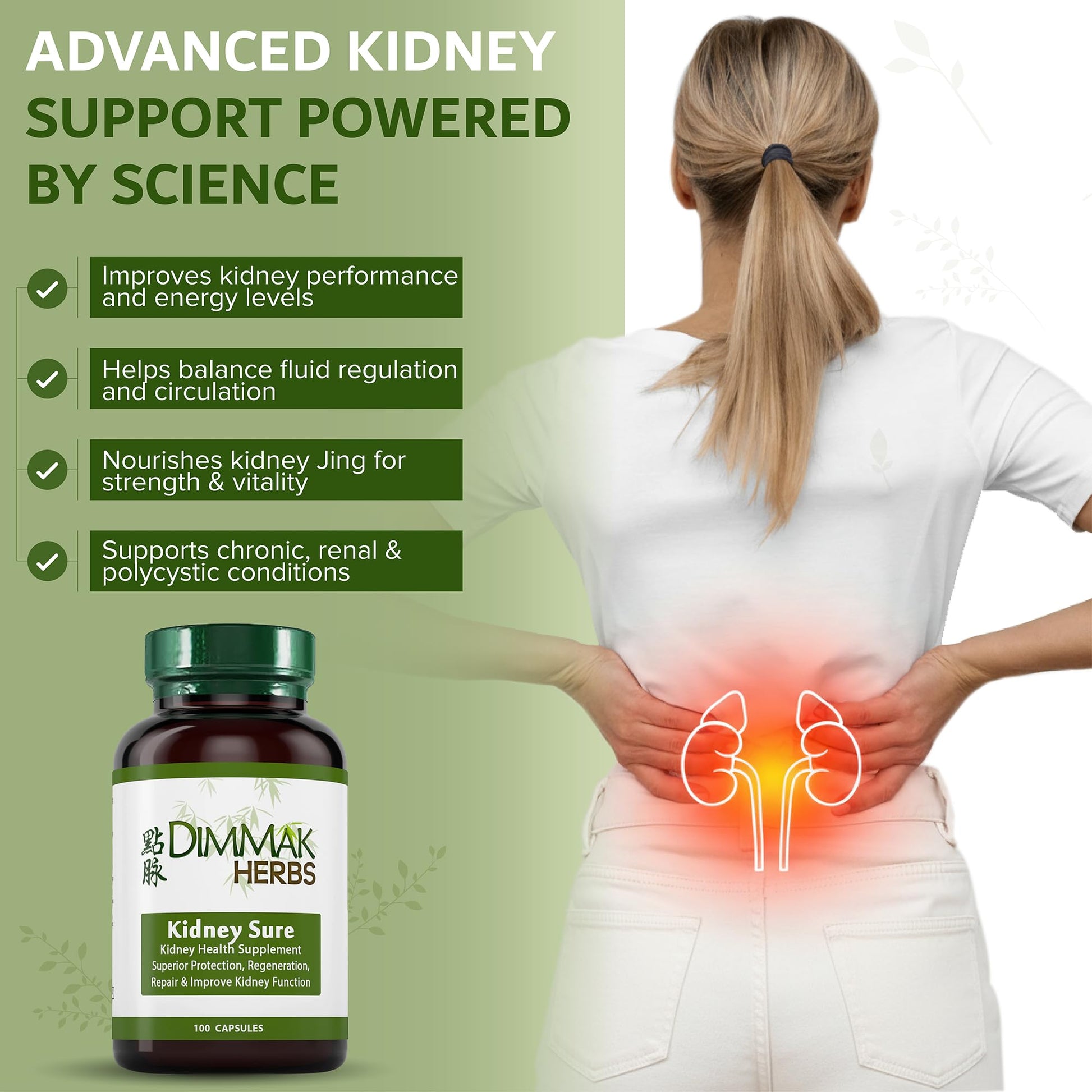 Dimmak Herbs Kidney Sure- Kidney Cleanse & Revitilization Tonic- Organic Herbal Support for Renal Health, Urinary Tract Flow & Vitality- TCM Doctor Formulated, Vegan- 400mg 100 Capsules - dailyvitalstore