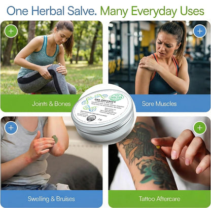 DNA Organics Comfrey Salve Ointment 2oz – Organic Herbal Salve for Bones, Muscles, Joints, Knees, Skin & Tattoo Care. Herbal Balm for Soothing Relief. Handcrafted, Slow-Infused, No Chemical Fillers - dailyvitalstore