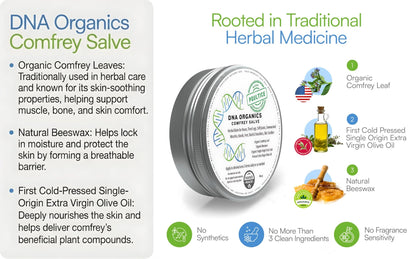 DNA Organics Comfrey Salve Ointment 2oz – Organic Herbal Salve for Bones, Muscles, Joints, Knees, Skin & Tattoo Care. Herbal Balm for Soothing Relief. Handcrafted, Slow-Infused, No Chemical Fillers - dailyvitalstore