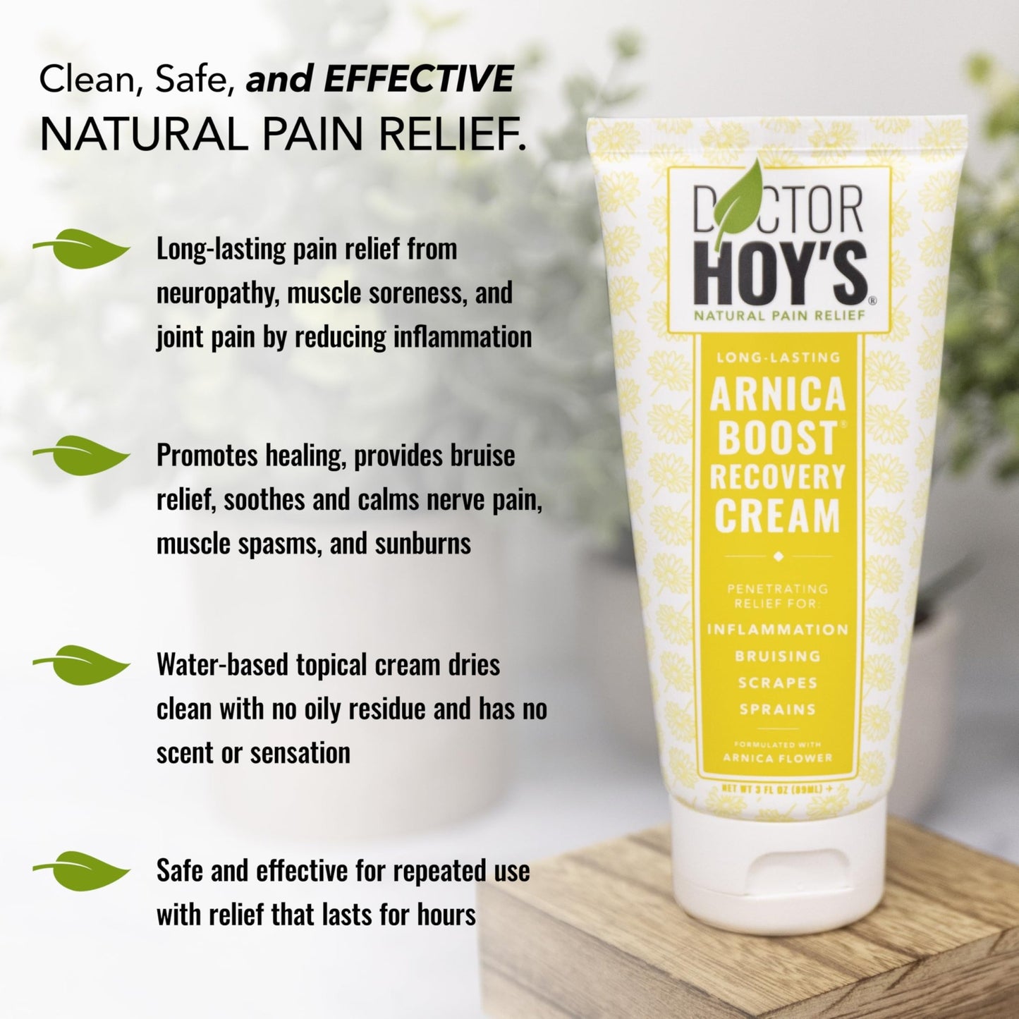 DOCTOR HOY'S Natural Arnica Boost Recovery Cream, Bruise and Muscle Pain Relief Cream, Topical Homeopathic Formula with Arnica Montana for Rapid Bruise Relief (6 Fl Oz) - dailyvitalstore
