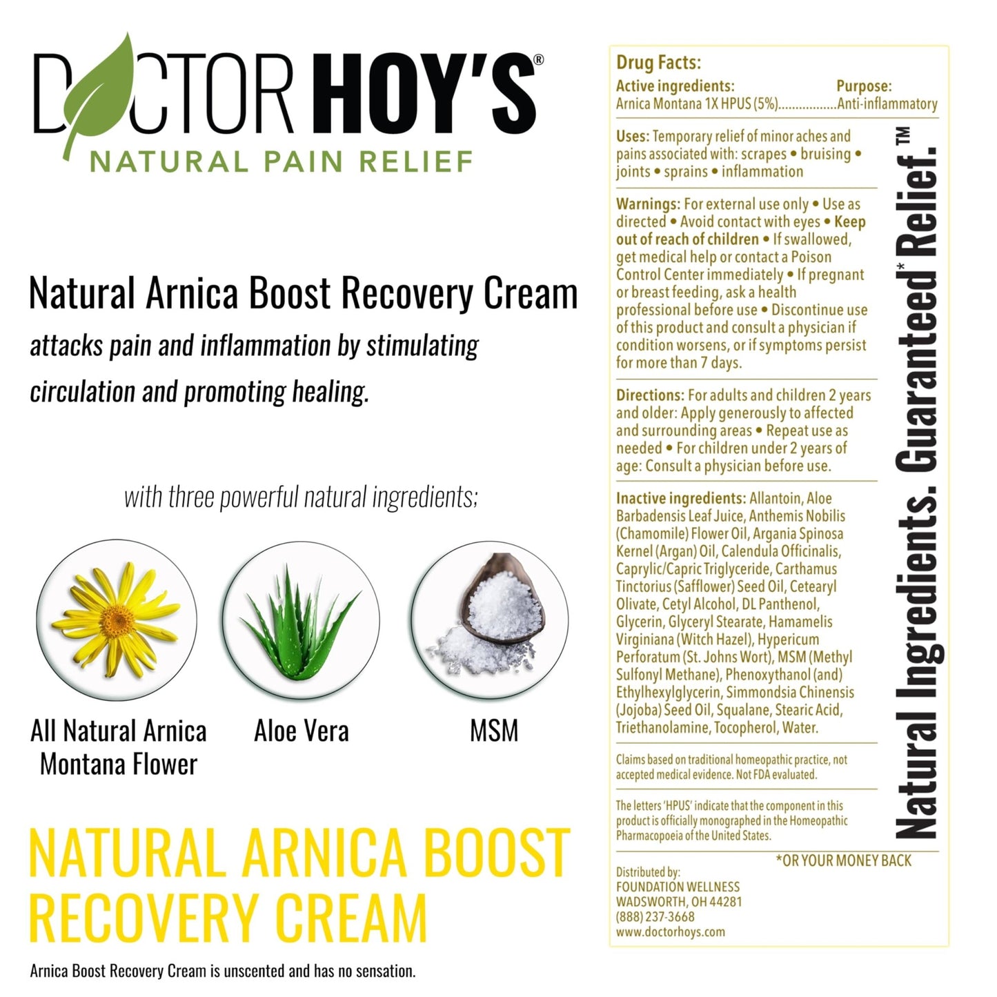 DOCTOR HOY'S Natural Arnica Boost Recovery Cream, Bruise and Muscle Pain Relief Cream, Topical Homeopathic Formula with Arnica Montana for Rapid Bruise Relief (6 Fl Oz) - dailyvitalstore