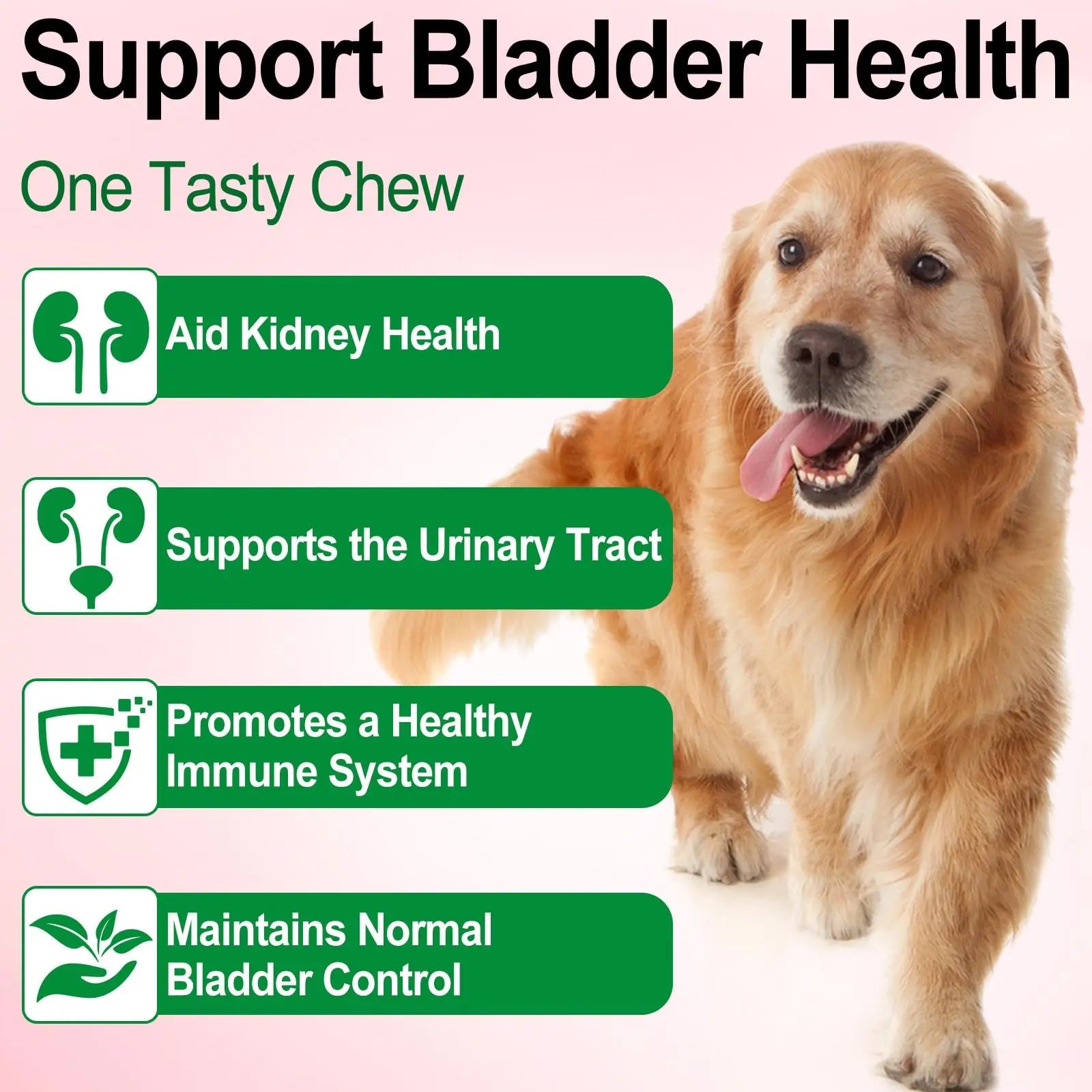 Dog UTI Treatment - Urinary Tract Infection Treatments, Kidney+Bladder Support Supplement, Natural Cranberry Extract for Dogs, Supports Urinary and Digestive Health (2 Fl Oz (Pack of 2)) - dailyvitalstore