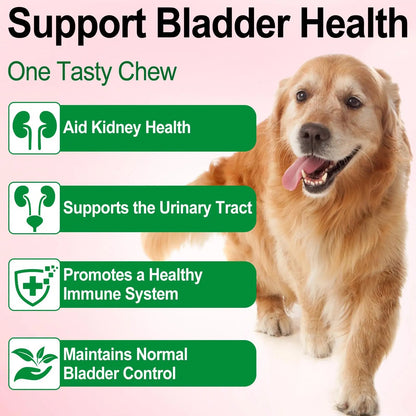 Dog UTI Treatment - Urinary Tract Infection Treatments, Kidney+Bladder Support Supplement, Natural Cranberry Extract for Dogs, Supports Urinary and Digestive Health (2 Fl Oz (Pack of 2)) - dailyvitalstore