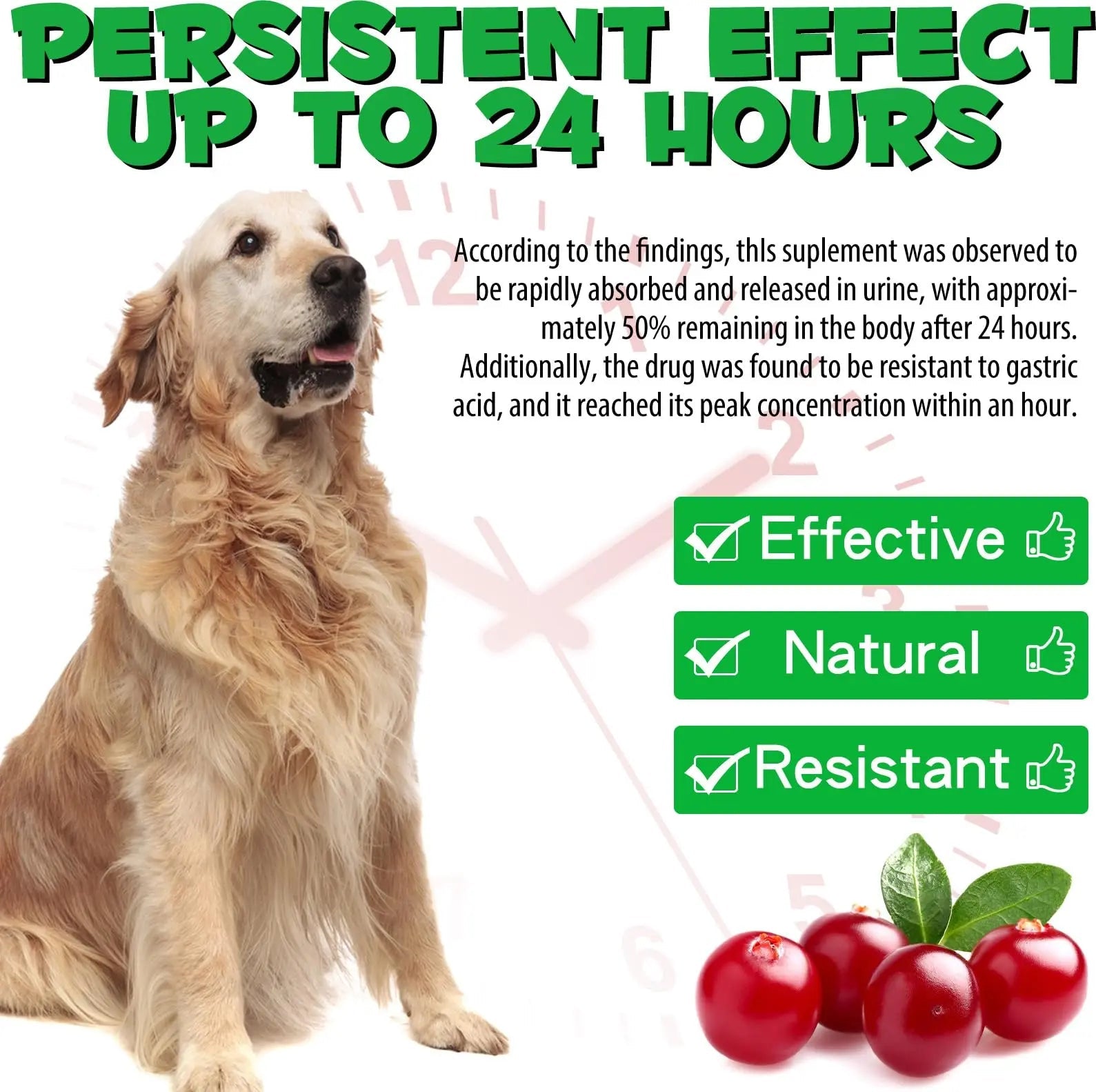 Dog UTI Treatment - Urinary Tract Infection Treatments, Kidney+Bladder Support Supplement, Natural Cranberry Extract for Dogs, Supports Urinary and Digestive Health (2 Fl Oz (Pack of 2)) - dailyvitalstore