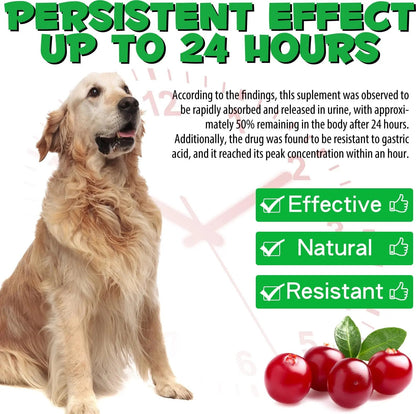 Dog UTI Treatment - Urinary Tract Infection Treatments, Kidney+Bladder Support Supplement, Natural Cranberry Extract for Dogs, Supports Urinary and Digestive Health (2 Fl Oz (Pack of 2)) - dailyvitalstore