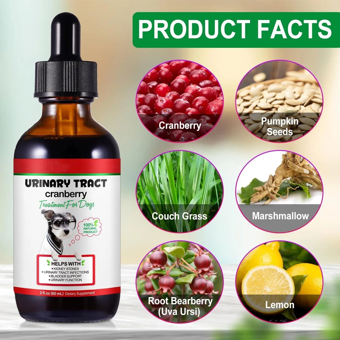 Dog UTI Treatment - Urinary Tract Infection Treatments, Kidney+Bladder Support Supplement, Natural Cranberry Extract for Dogs, Supports Urinary and Digestive Health (2 Fl Oz (Pack of 2)) - dailyvitalstore