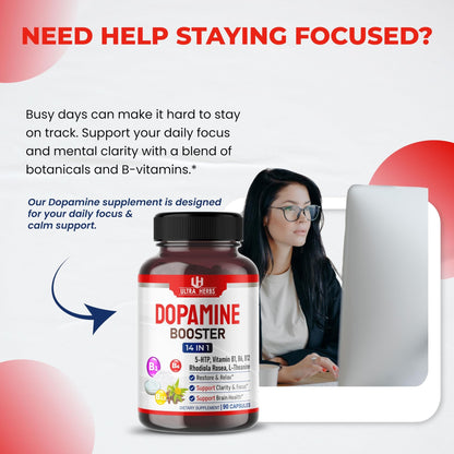 Dopamine Focus Supplement Ashwagandha 5-HTP Rhodiola Rosea St. John's Wort - Increase Memory Clarity Focus Restore Relax with VIT B1, B6, B12, L-Theanine - dailyvitalstore