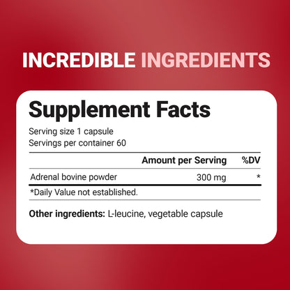 Dr. Berg Adrenal Glandular - Hormone Balance Formula That Supports Healthy Adrenal Function - Adrenal Support Supplement - 60 Capsules - dailyvitalstore