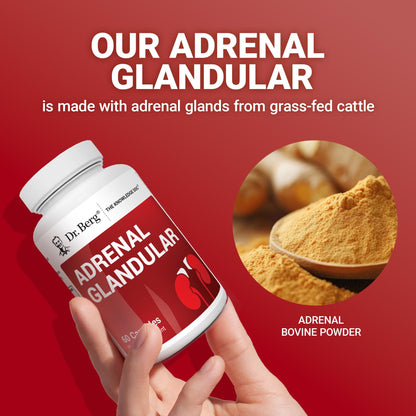 Dr. Berg Adrenal Glandular - Hormone Balance Formula That Supports Healthy Adrenal Function - Adrenal Support Supplement - 60 Capsules - dailyvitalstore