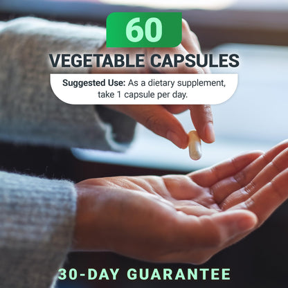 Dr. Berg Natural Vitamin B1 B6 B12 Complex - Allithiamine Vitamin B1 Supplement with 8 Essential Vitamin B Complex for Men & Women Including Thiamin, Niacin, Folate, Magnesium & More - 60 Capsules - dailyvitalstore