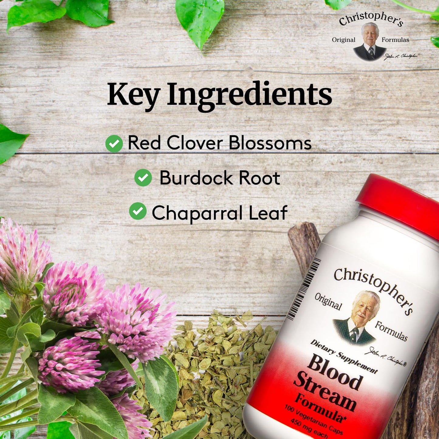 DR. CHRISTOPHER'S Formulas Blood Stream Formula, 100 Cap - dailyvitalstore