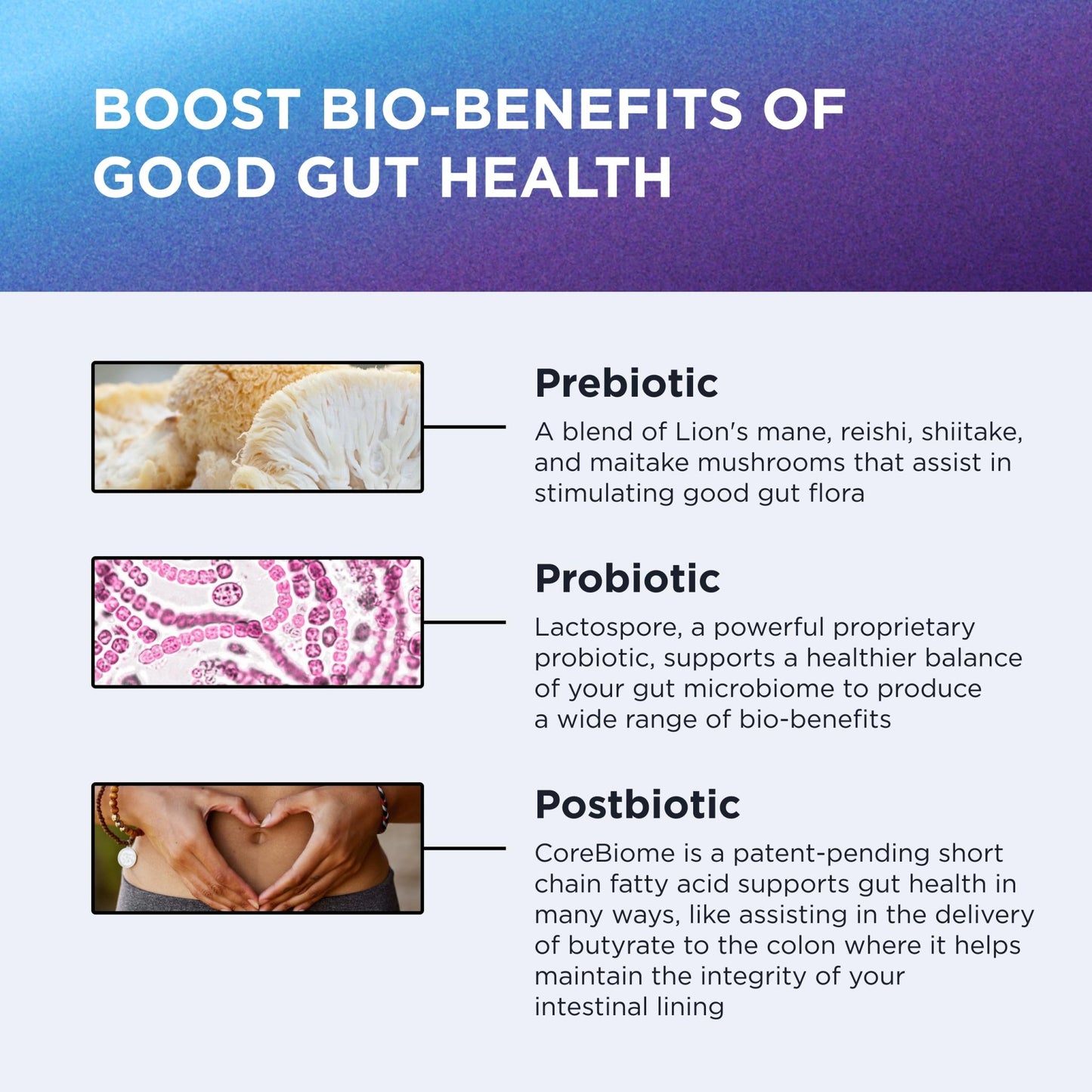 DR. EMIL NUTRITION Women & Men Total Gut Health Complex | Prebiotic + Probiotic + Postbiotic Gut Health Supplements - dailyvitalstore