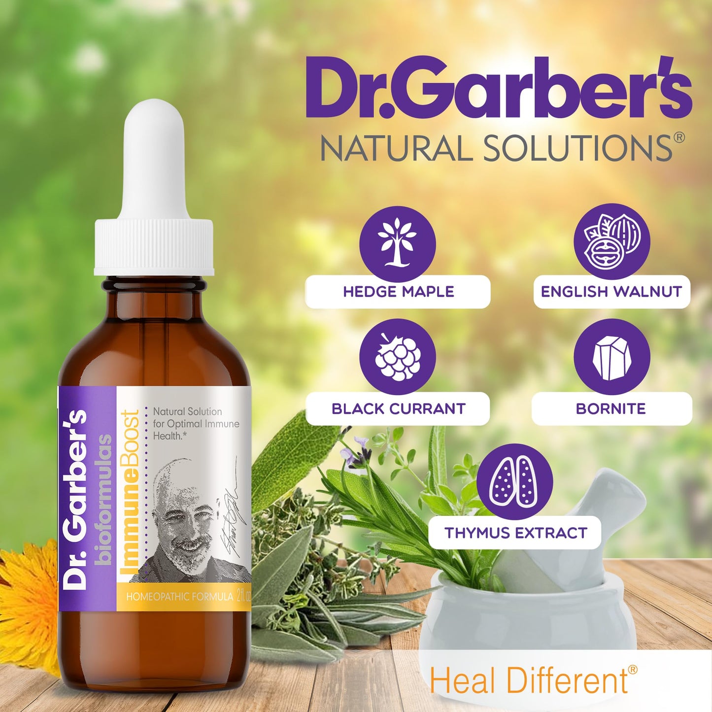 Dr. Garber's Natural Solutions Immune Boost Health Oral Drops - Gemmotherapy Liquid Supplement to Strengthen Immunity, Support Immune System, Increase Resistance, & Contains Antioxidants - 60ml - dailyvitalstore