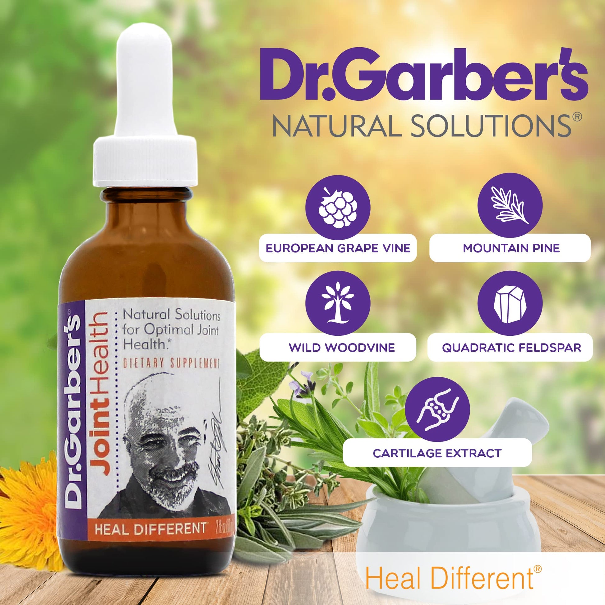 Dr. Garber's Natural Solutions Joint Health Oral Drops - Gemmotherapy Liquid Supplement for Healthy Joint Support & Function, Joint Repair, and Improved Mobility & Flexibility - 60ml - dailyvitalstore