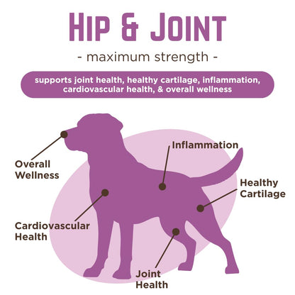 Dr. Joseph's VetPro Complete Dog Hip & Joint Supplement for Arthritis Pain Relief – High-Strength Glucosamine & Chondroitin Chews for Senior Dogs – Vet Formulated Daily Treats, Chicken Flavor, 60 Ct - dailyvitalstore