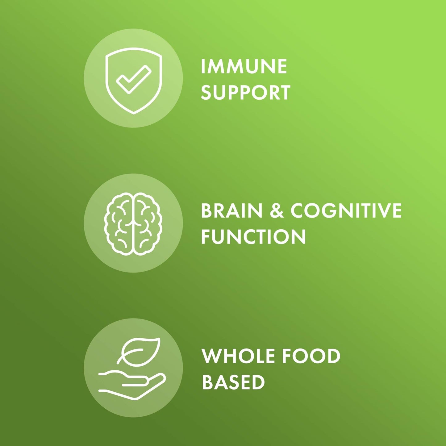 Dr. Mercola Whole-Food Complex with Added Multivitamin Plus Vital Minerals - Supports Nutrition & Immune Support - Bioavailable - GMO Free - 240 Tablets (30 Servings) - dailyvitalstore