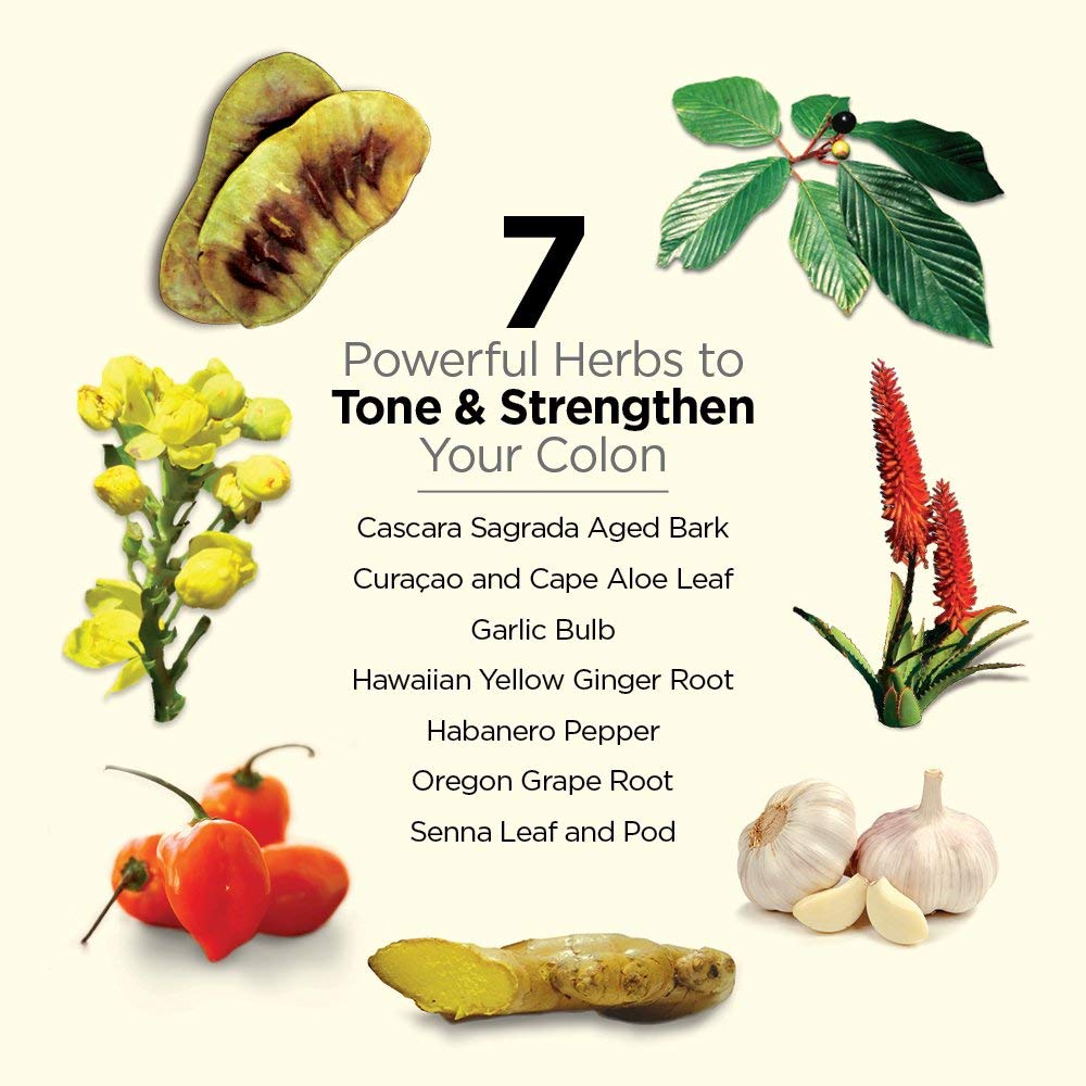 Dr. Schulze's 5-Day Bowel Detox - 5Day Cleanse Kit for a Gentle Bowel Reset - Supports Gut Health, Bloating & Easy Elimination - Natural, Clean Ingredients - Gluten-Free & Vegan - dailyvitalstore