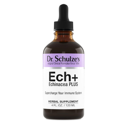 Dr. Schulze's Echinacea Plus | Echinacea Root and Seed | All Organic Extract | Gluten-Free & Non-GMO for Immune System Support | 4 oz - dailyvitalstore