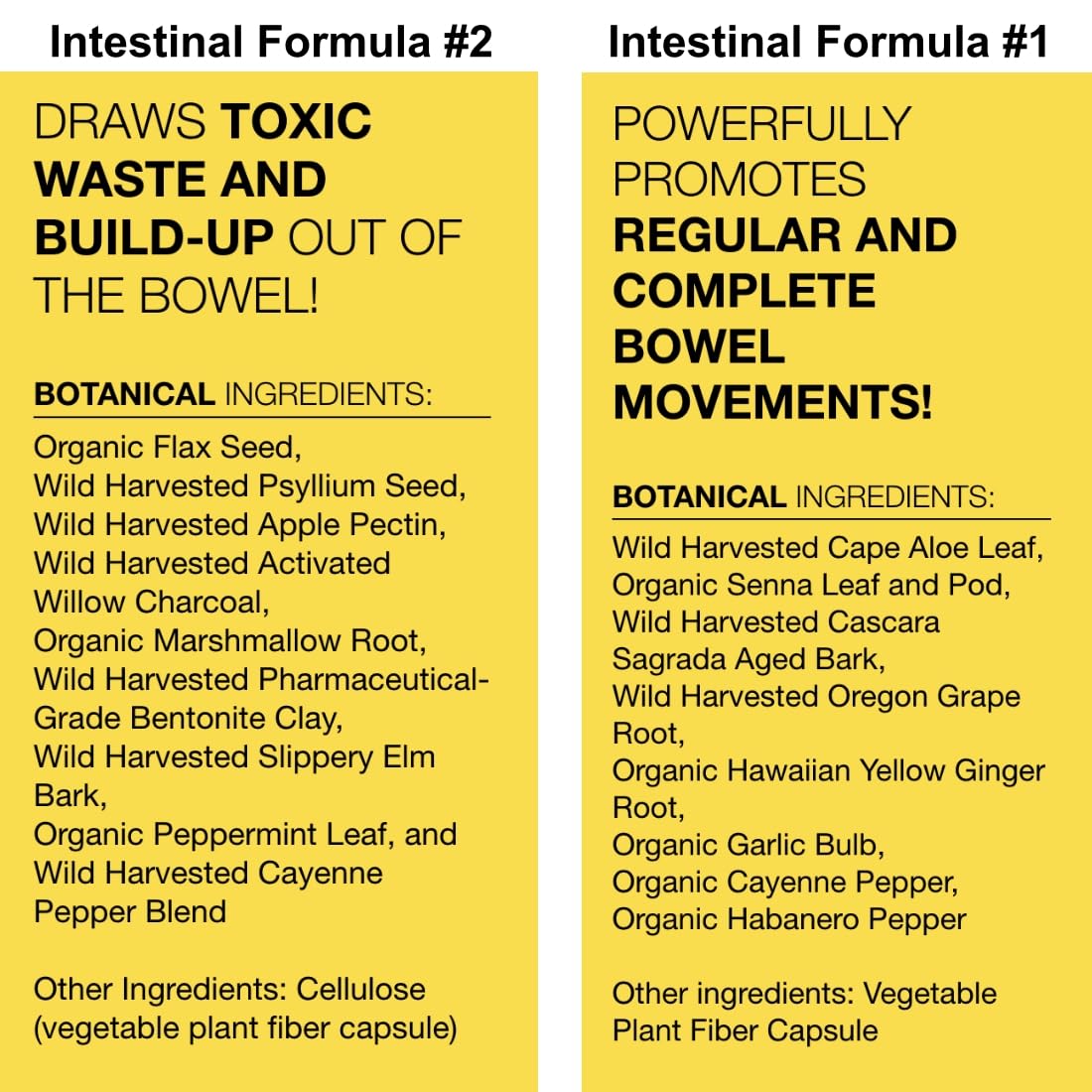 Dr. Schulze's Intestinal Formula 2 (8 Ounces) and Intestinal Formula 1 Capsules (90 Capsules) - Organic Herbal Supplements - dailyvitalstore