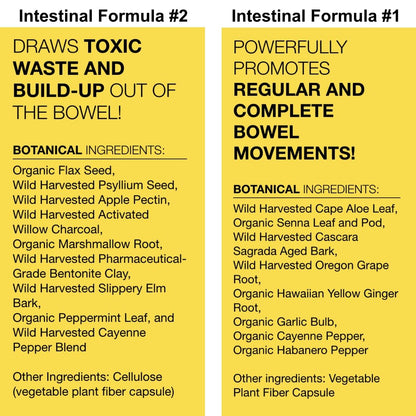 Dr. Schulze's Intestinal Formula 2 (8 Ounces) and Intestinal Formula 1 Capsules (90 Capsules) - Organic Herbal Supplements - dailyvitalstore
