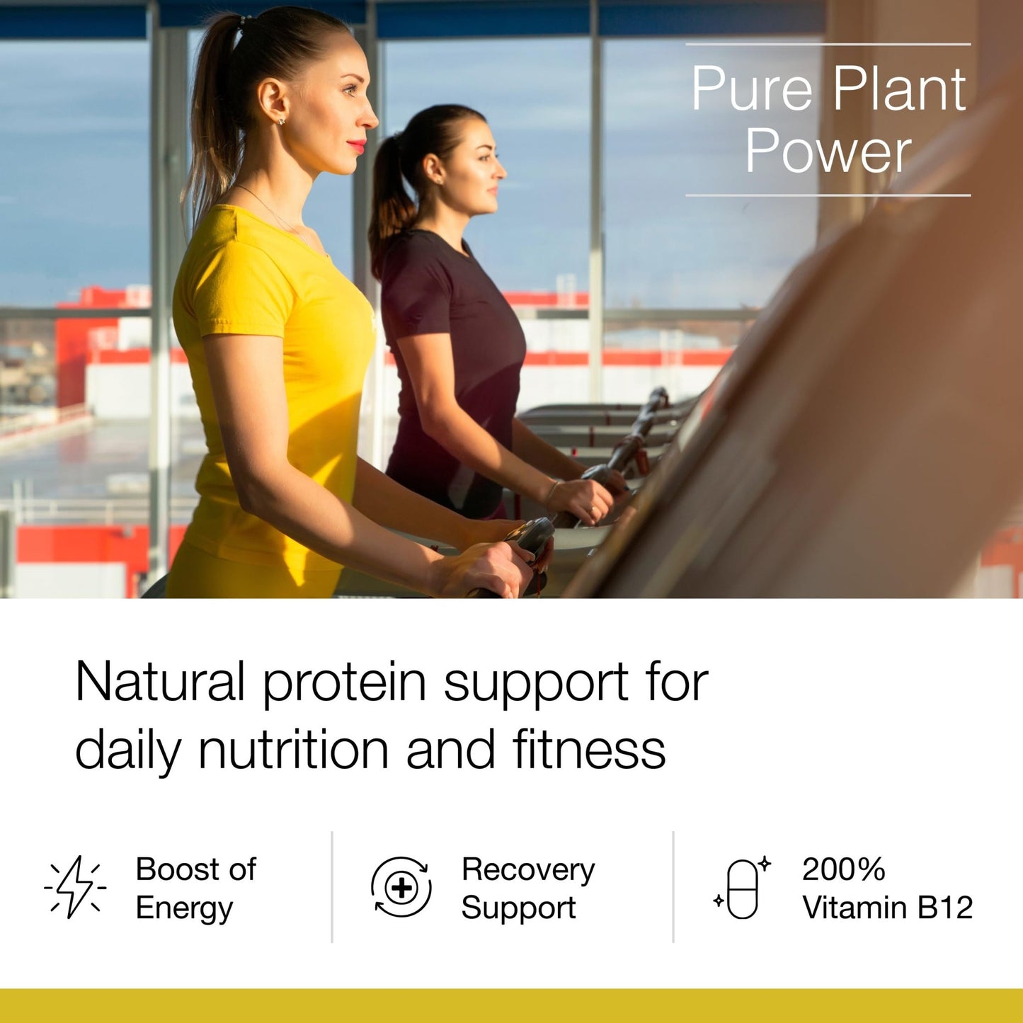 Dr. Schulze's SuperProtein Plus - Plant-Based Protein Powder - Active Lifestyle Supplement - Supports Muscle Health - Drink Mix - Gluten-Free & Vegan - 19 oz (20 Servings) - dailyvitalstore