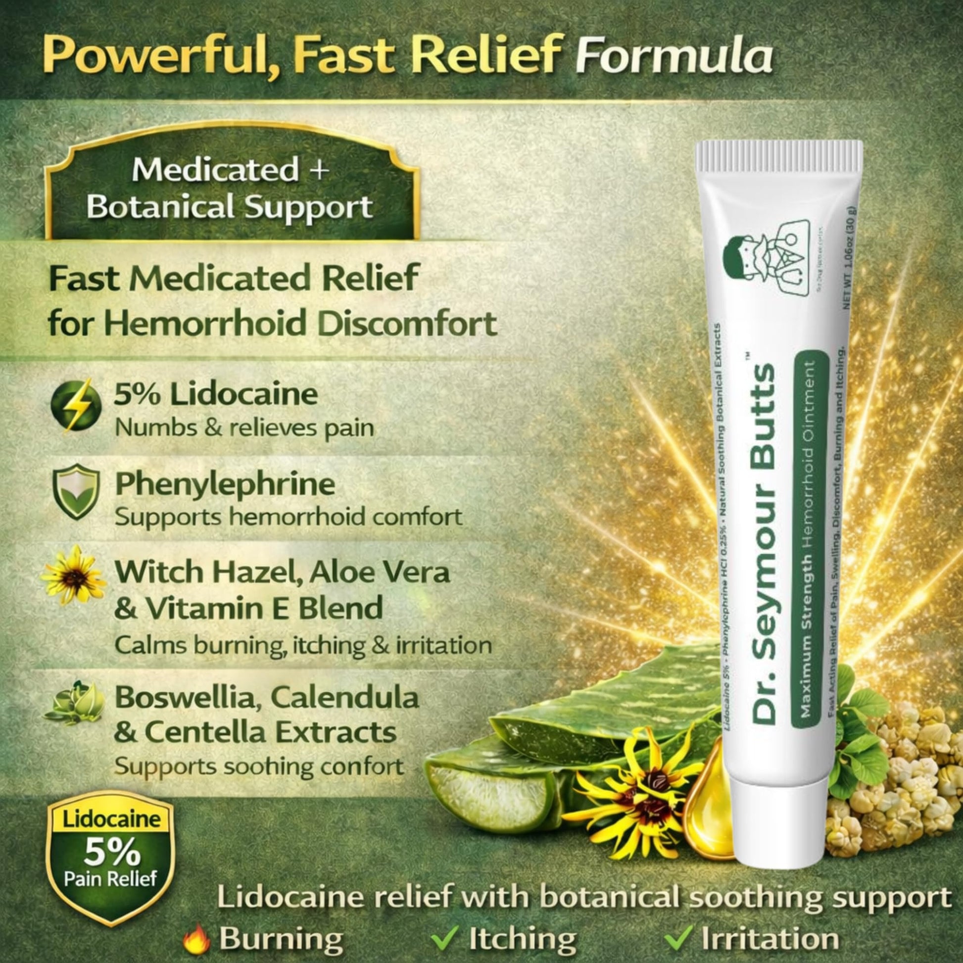 Dr. Seymour Butts Hemorrhoid Ointment – Lidocaine 5% Pain Relief for Burning, Itching & Irritation | External Hemorrhoid Care with Witch Hazel, Aloe & Botanical Support - dailyvitalstore