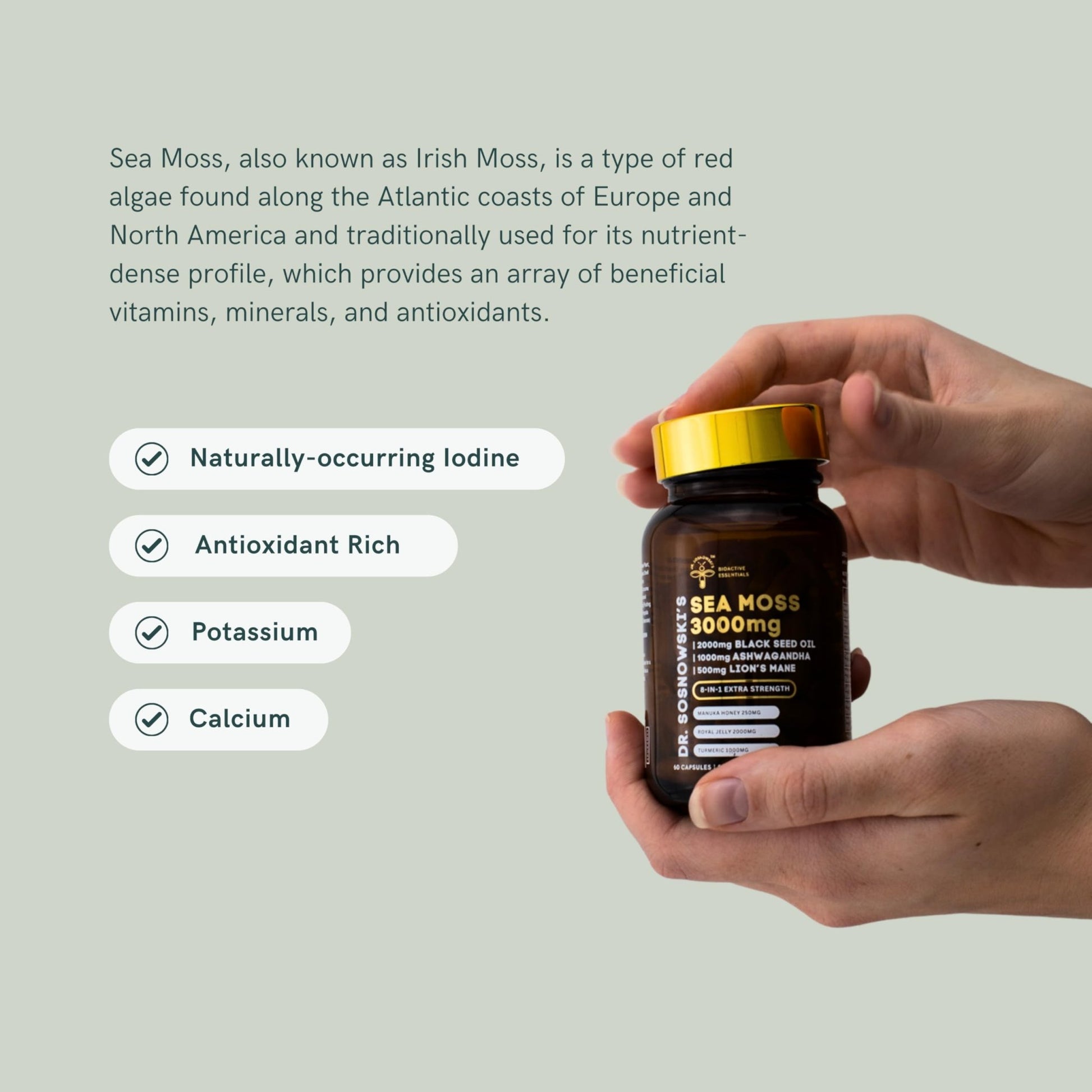 Dr Sosnowski's BioActive Sea Moss | 8-in-1 Formula Enriched with Black Seed, Ashwagandha, Turmeric, Manuka Honey, Lion's Mane, Royal Jelly, Bee Propolis Extract | 60 Capsules - dailyvitalstore