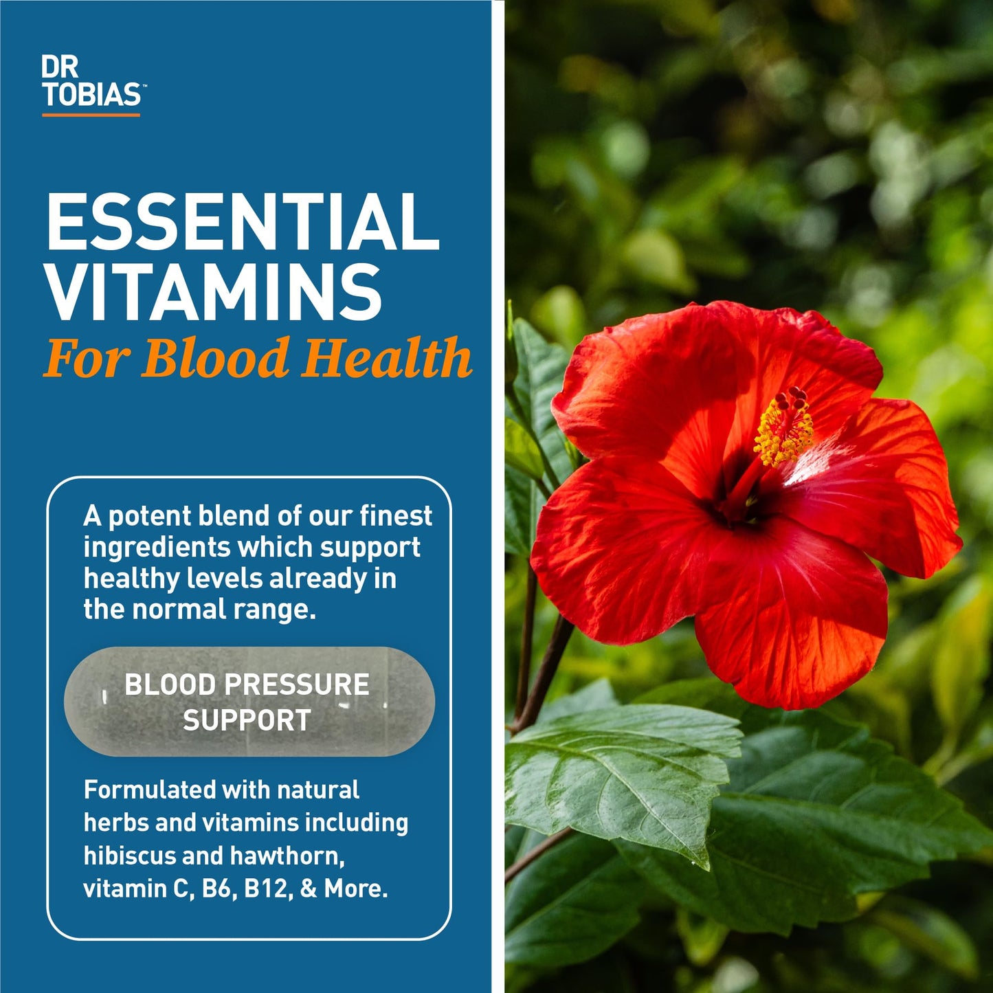 Dr. Tobias Blood Pressure Support Supplement with Hawthorn, Hibiscus Flower, Olive Leaf & Garlic, Supports Normal Circulatory Health with Vitamins C, B6, B12, Niacin, Folate & Herbs, 90 Capsules - dailyvitalstore