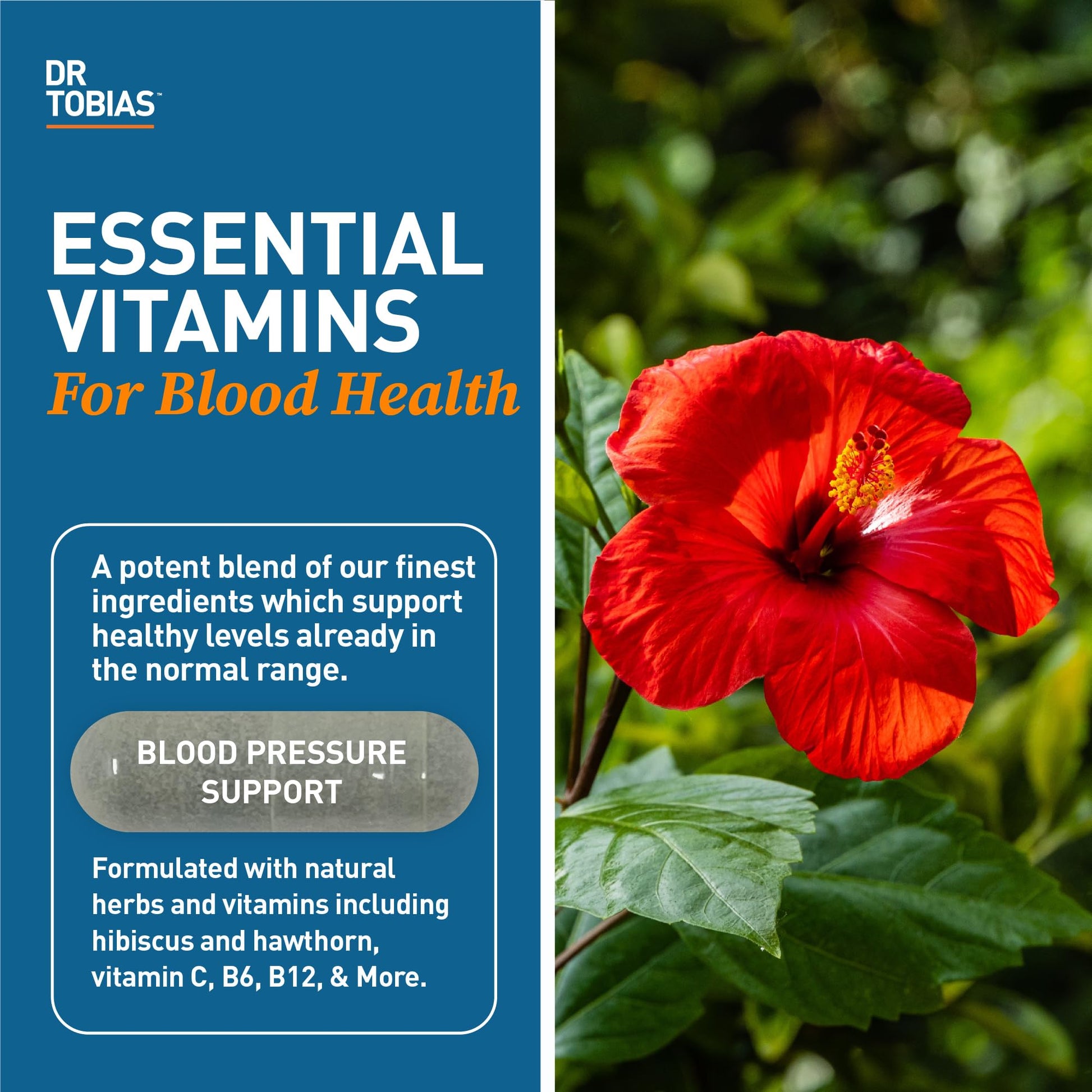 Dr. Tobias Blood Pressure Support Supplement with Hawthorn, Hibiscus Flower, Olive Leaf & Garlic, Supports Normal Circulatory Health with Vitamins C, B6, B12, Niacin, Folate & Herbs, 90 Capsules - dailyvitalstore