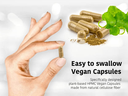 DR WAKDE'S Cardamom Capsules (60 Veg Caps, Plant-Based Supplement, Ayurvedic Herb, All Natural, Vegan) - dailyvitalstore