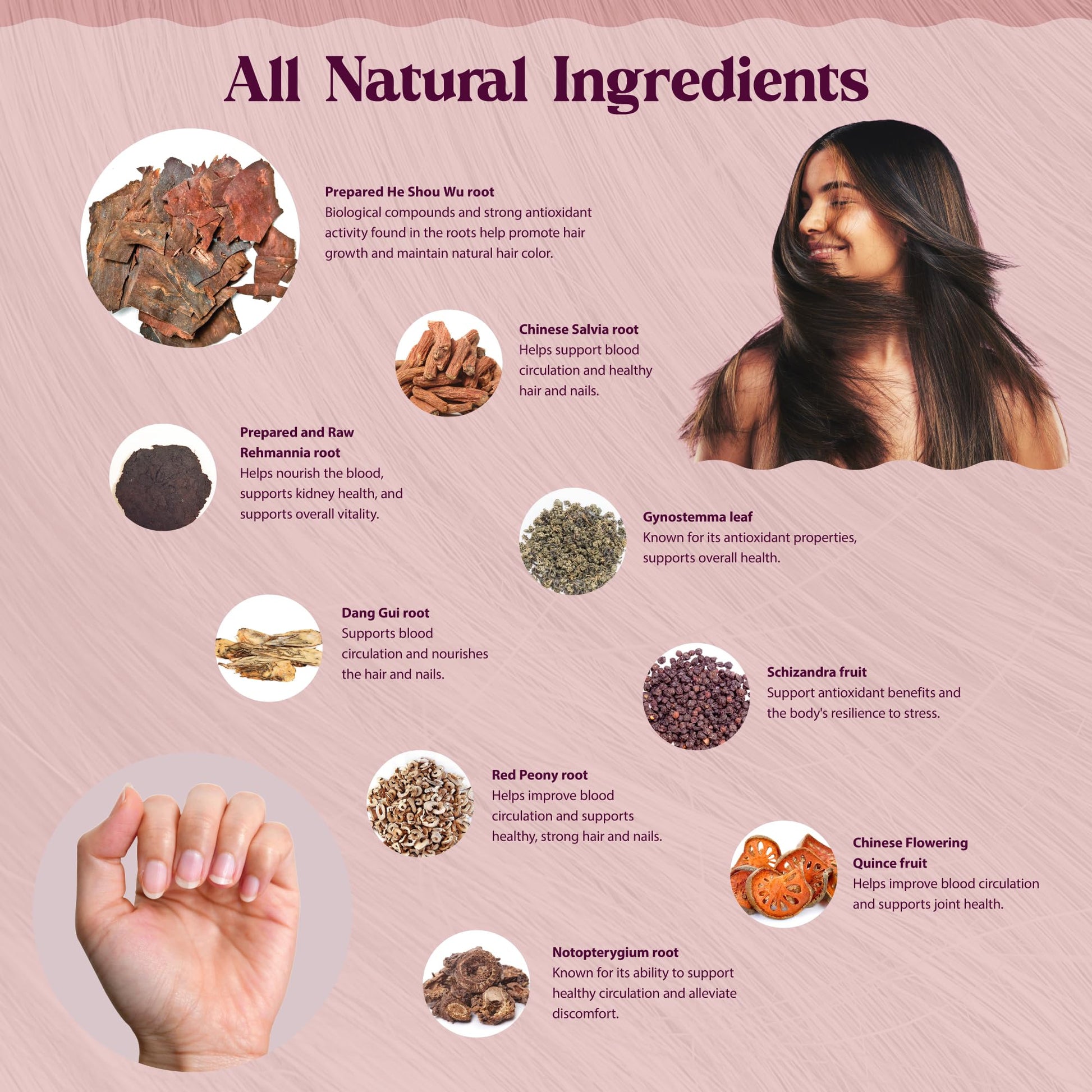 Dragon Herbs Hair and Nails | All Natural Supplement to Support Hair, Nails, Healthy Aging, and Circulation | All Natural Ingredients, Non-GMO (100 Capsules, 500 mg Per Capsule) - dailyvitalstore
