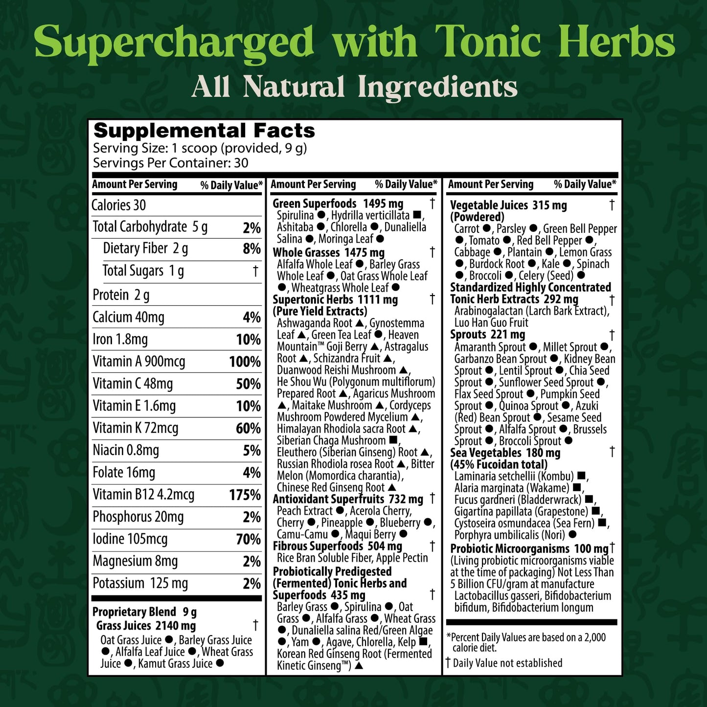 Dragon Herbs Tonic Alchemy Superfood Greens Powder with 91 Ingredients: Tonic Herbs, Ashwagandha, Mushrooms, Probiotics, Super Greens, Seaweeds, Fruits, Vegetables, Spirulina - 30 Servings - dailyvitalstore