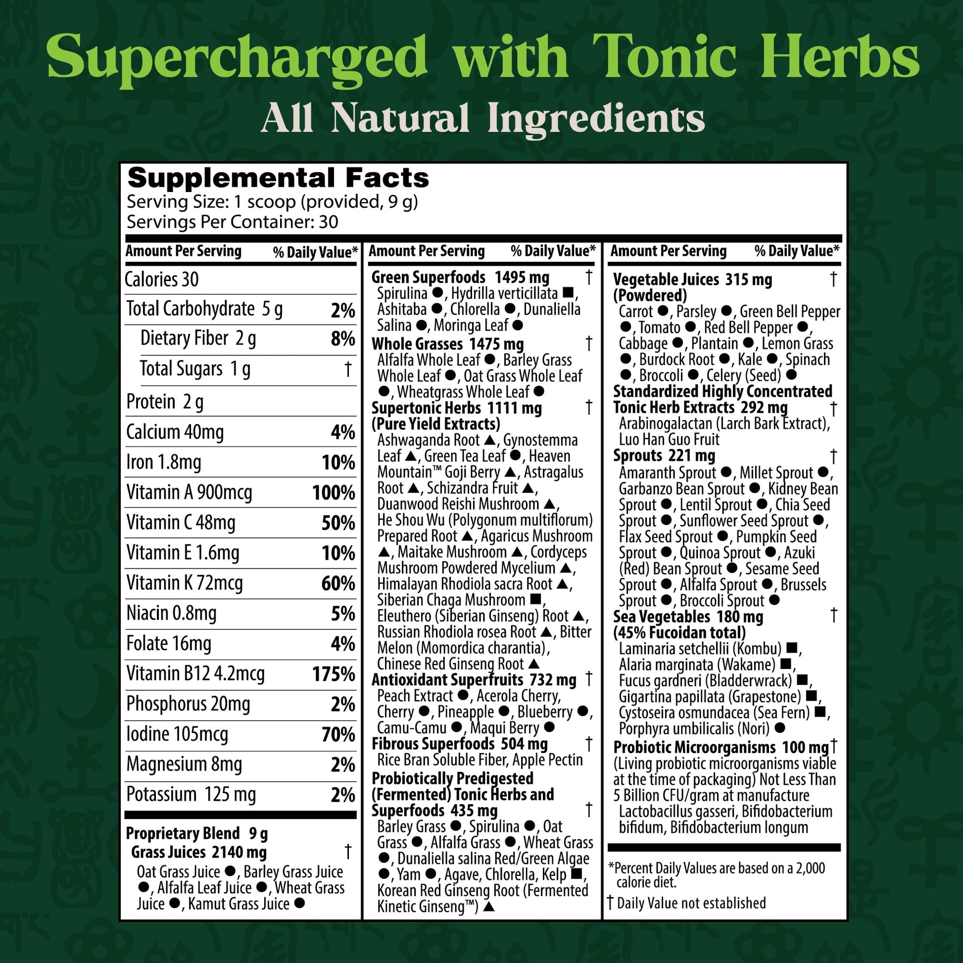 Dragon Herbs Tonic Alchemy Superfood Greens Powder with 91 Ingredients: Tonic Herbs, Ashwagandha, Mushrooms, Probiotics, Super Greens, Seaweeds, Fruits, Vegetables, Spirulina - 30 Servings - dailyvitalstore