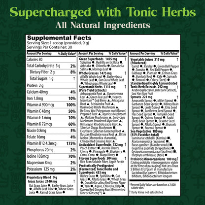 Dragon Herbs Tonic Alchemy Superfood Greens Powder with 91 Ingredients: Tonic Herbs, Ashwagandha, Mushrooms, Probiotics, Super Greens, Seaweeds, Fruits, Vegetables, Spirulina - 30 Servings - dailyvitalstore