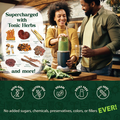 Dragon Herbs Tonic Alchemy Superfood Greens Powder with 91 Ingredients: Tonic Herbs, Ashwagandha, Mushrooms, Probiotics, Super Greens, Seaweeds, Fruits, Vegetables, Spirulina - 30 Servings - dailyvitalstore