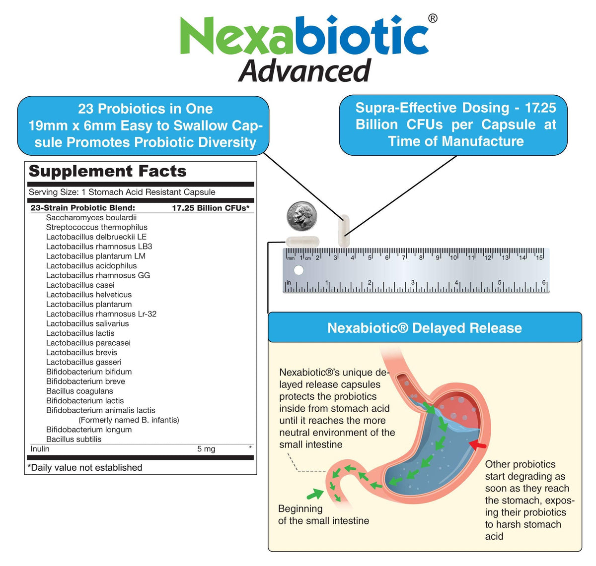 DrFormulas' Best Probiotics for Women & Men | Nexabiotic Multi Probiotic with Saccharomyces Boulardii, Lactobacillus Acidophilus, B. infantis, Prebiotic 60 Count Capsules (Not Pearls) - dailyvitalstore