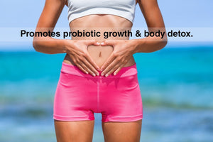 DrFormulas' Best Probiotics for Women & Men | Nexabiotic Multi Probiotic with Saccharomyces Boulardii, Lactobacillus Acidophilus, B. infantis, Prebiotic 60 Count Capsules (Not Pearls) - dailyvitalstore