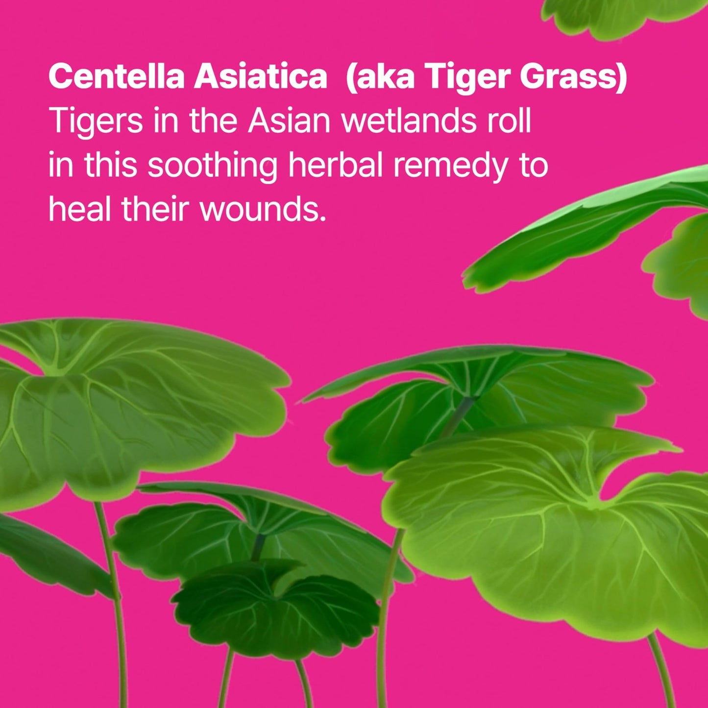Dr.Jart+ Cicapair Tiger Grass Camo Drops Tinted Serum SPF 35 with Centella Asiatica | Skin Tint | Korean Skin Care Makeup Hybrid, 1.01 Fl Oz - dailyvitalstore