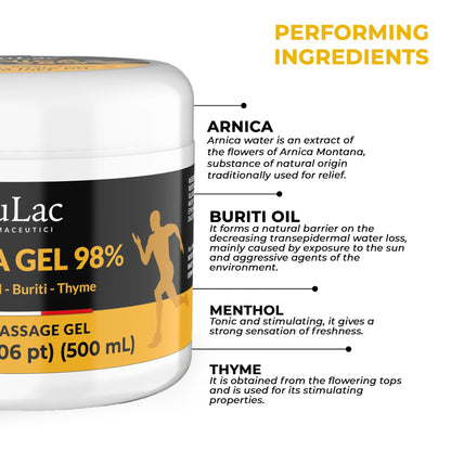 Dulac Arnica Body Massage Gel – Water-Based Cosmetic Massage Gel with Arnica Montana, Fast-Absorbing Lightweight Texture, Non-Greasy Feel, Dermatologically Tested, 16.9 fl oz - dailyvitalstore