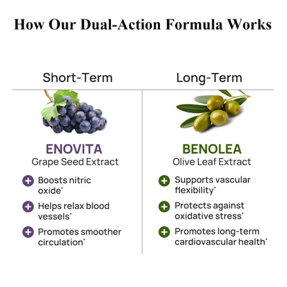 Durable Blood Pressure – Benolea Olive Leaf & Enovita Grape Seed Extract – Healthy Circulation, Nitric Oxide & Artery Support – Doctor Formulated, Vegan, Non-GMO, Made in USA (60 Capsules) - dailyvitalstore