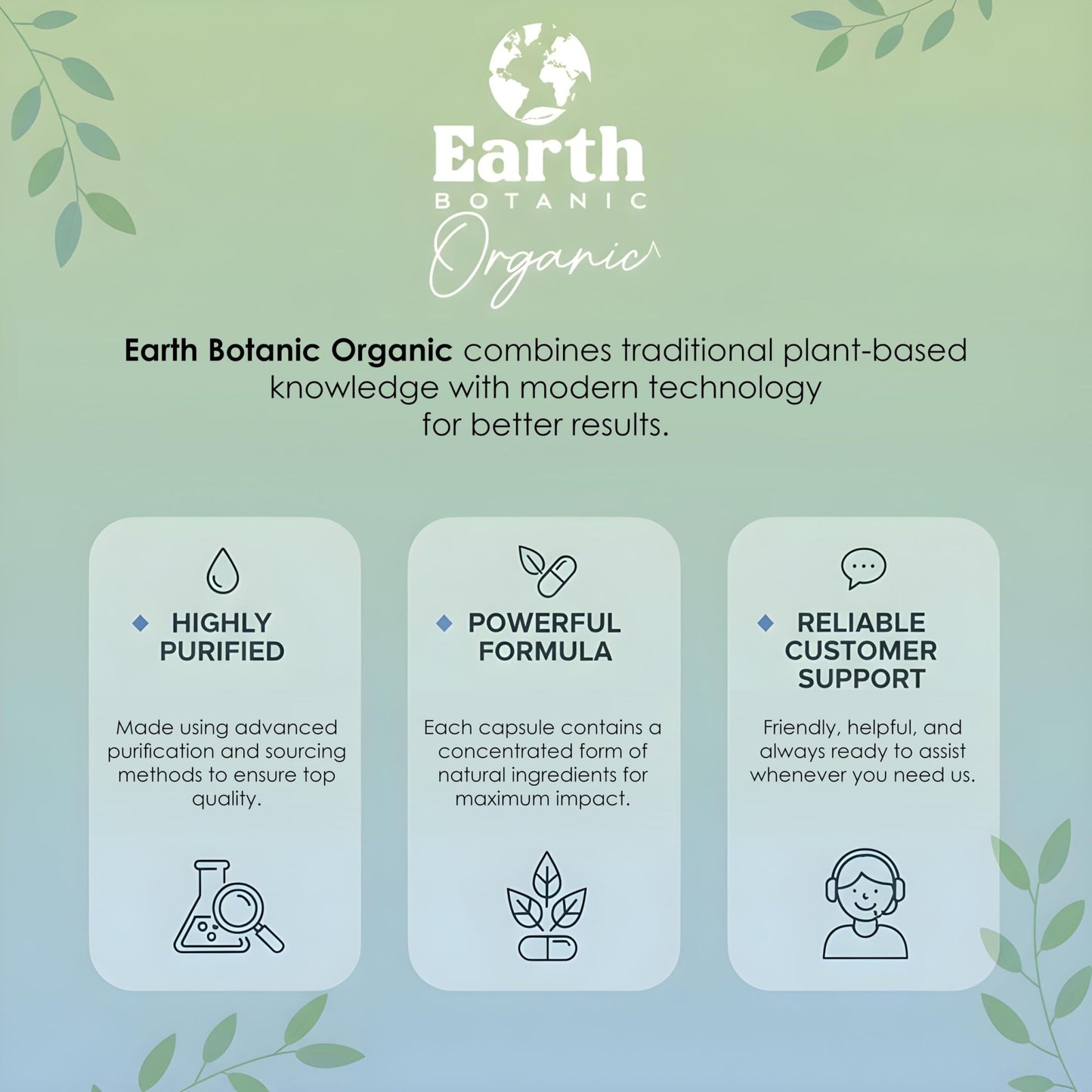 Earth BOTANIC Organic Apricot Extract, 1000 mg 120 Veggie Capsules (Vegan, Non-GMO) Herbal Supplements - dailyvitalstore