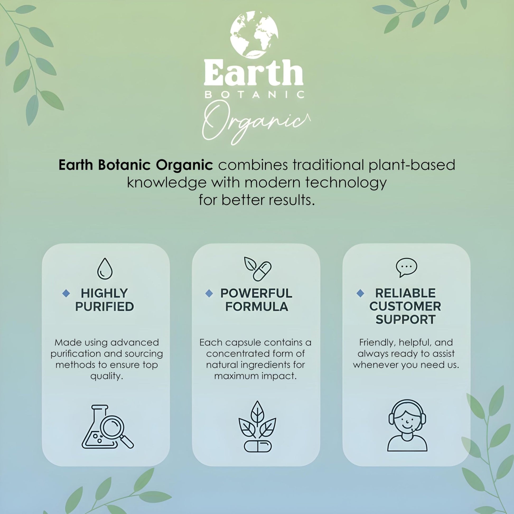 Earth BOTANIC Organic Apricot Extract, 1000 mg 120 Veggie Capsules (Vegan, Non-GMO) Herbal Supplements - dailyvitalstore