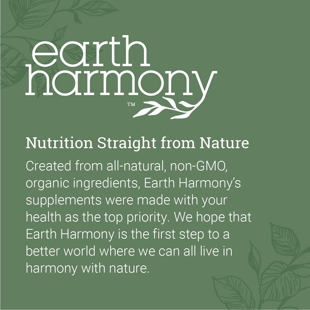 Earth Harmony Lymphatic Drainage Drops, Lymph Detox - Supplement with Soursop, Cat's Claw Bark, Astragalus, Wormwood, Lymph Node Detox, Lymphatic Support Cleanse (2 Oz) - dailyvitalstore