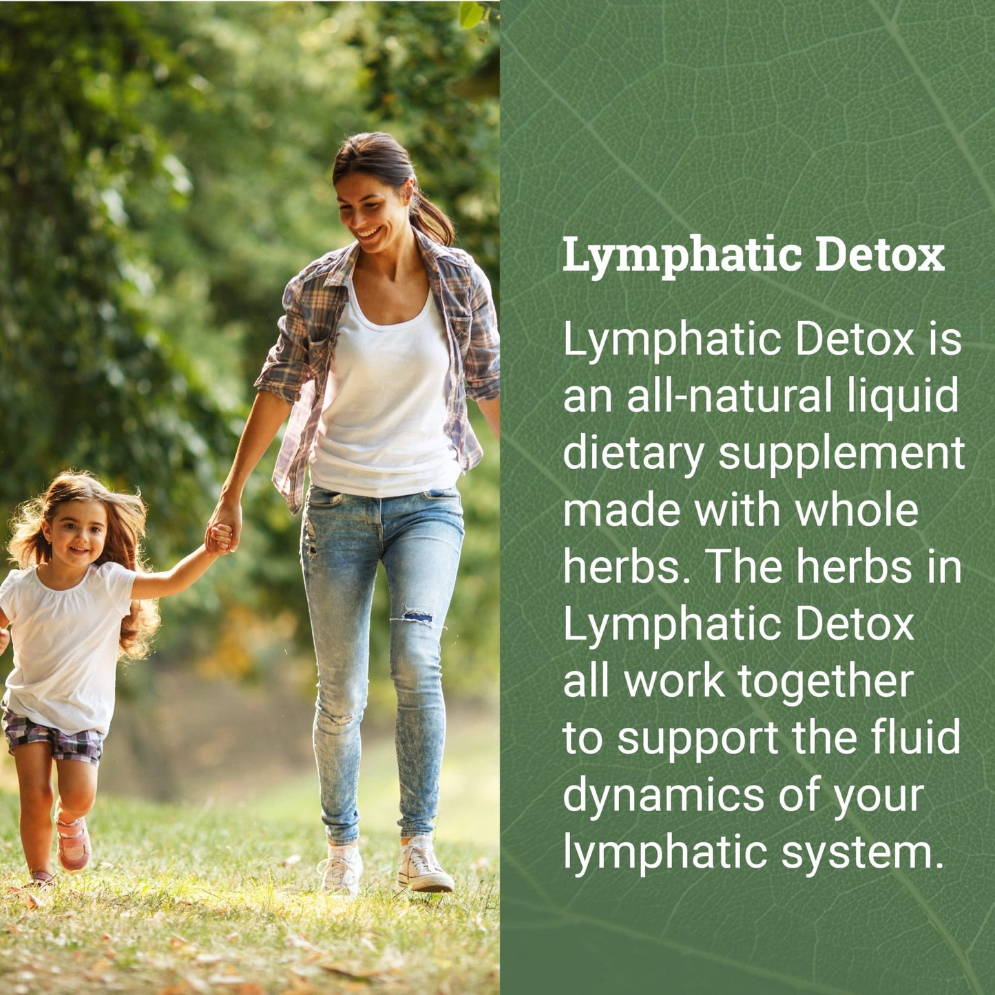 Earth Harmony Lymphatic Drainage Drops, Lymph Detox - Supplement with Soursop, Cat's Claw Bark, Astragalus, Wormwood, Lymph Node Detox, Lymphatic Support Cleanse (2 Oz) - dailyvitalstore