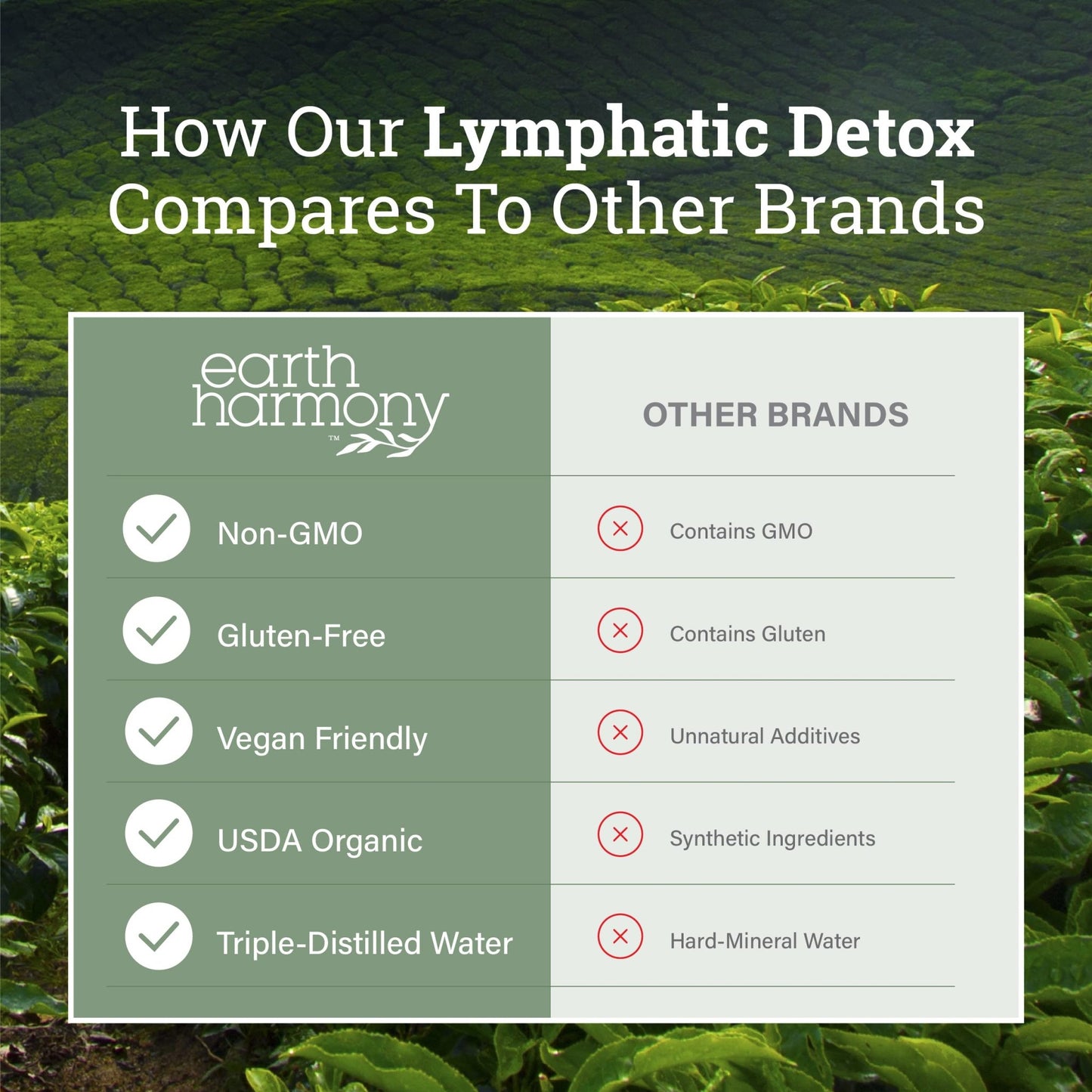 Earth Harmony Lymphatic Drainage Drops, Lymph Detox - Supplement with Soursop, Cat's Claw Bark, Astragalus, Wormwood, Lymph Node Detox, Lymphatic Support Cleanse (2 Oz) - dailyvitalstore